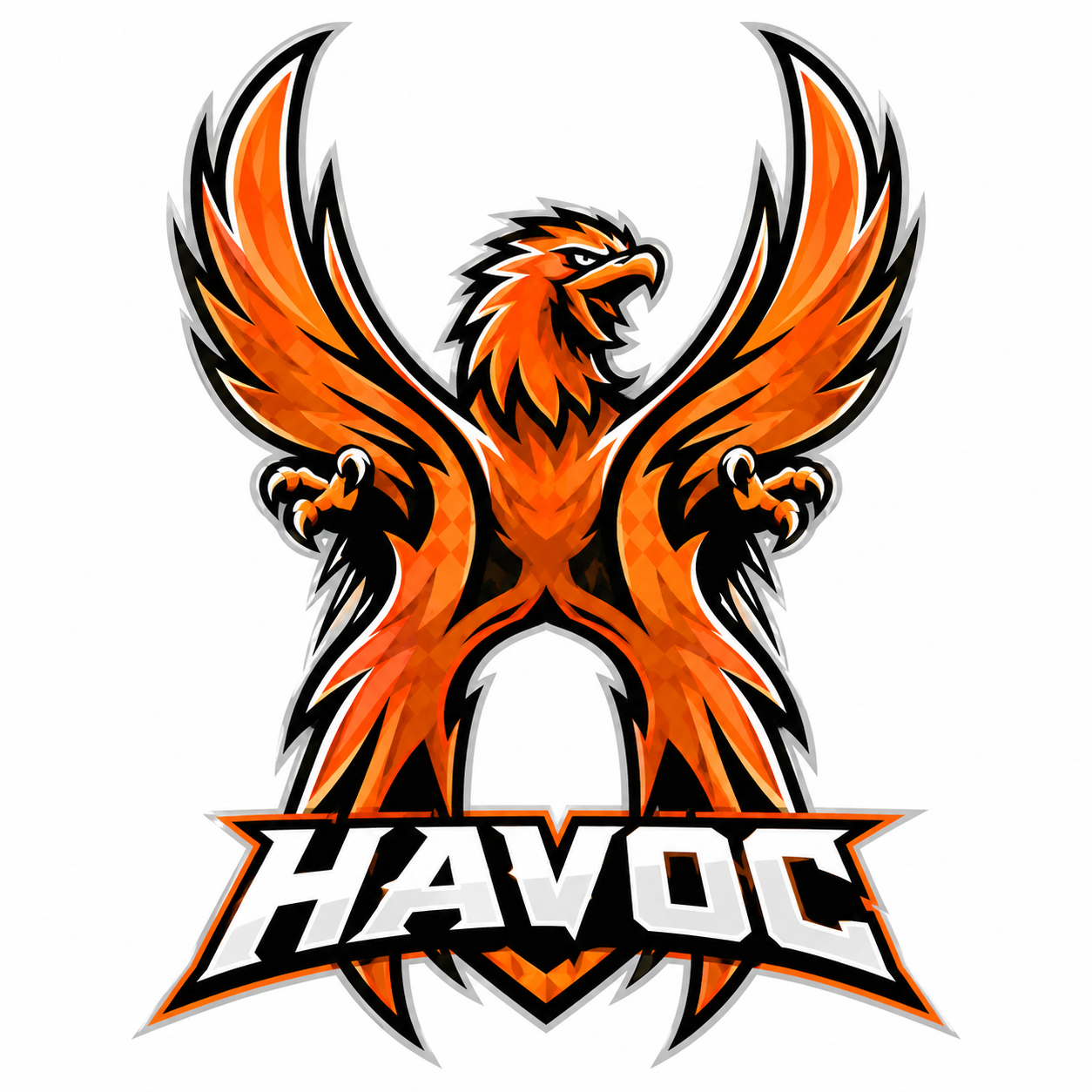 Havoc Soccer Training Logo